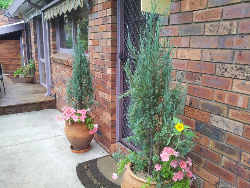 Crimson Villa Katoomba Esterno foto