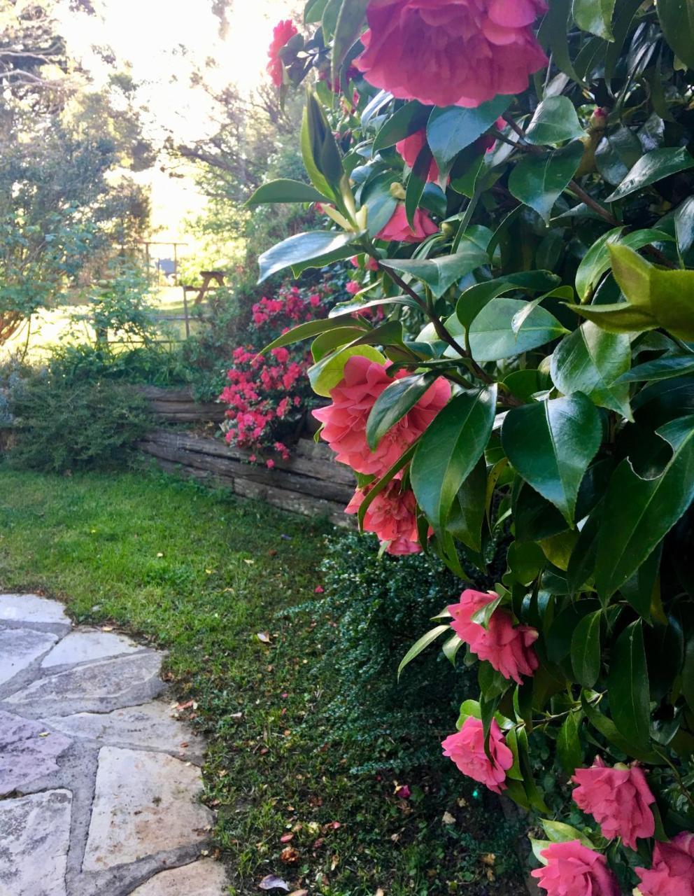 Crimson Villa Katoomba Esterno foto